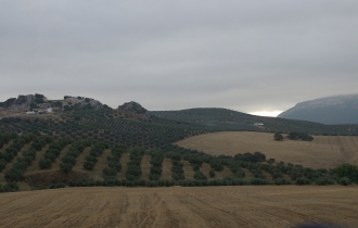 Landschaft in Andalusien